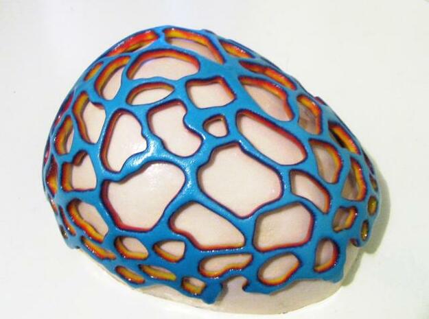 Cranial Net in Full Color Sandstone