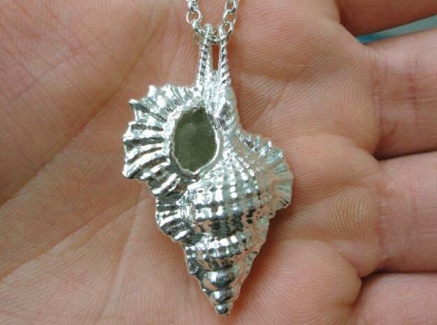 Silver Shell Pendant in Polished Silver