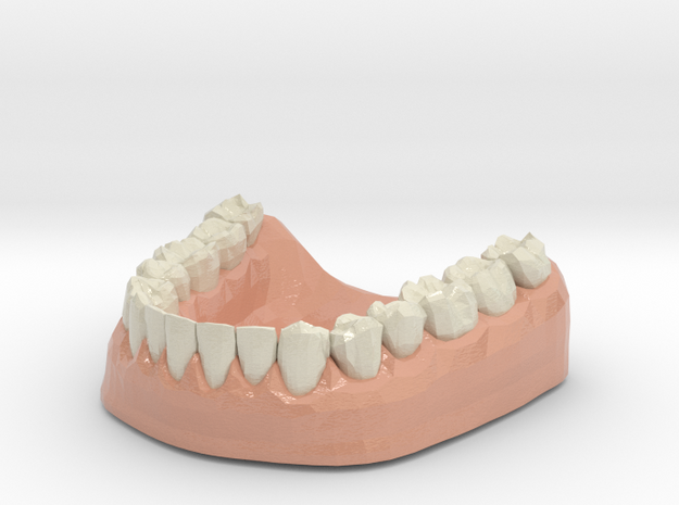 3D Teeth lower in Glossy Full Color Sandstone