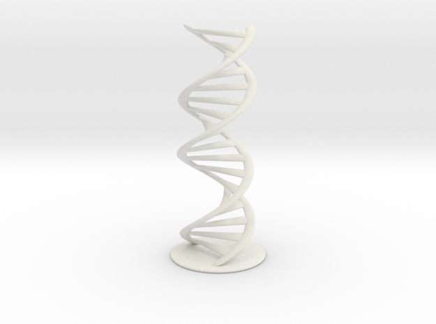 DNA schematic 45cm in White Natural Versatile Plastic