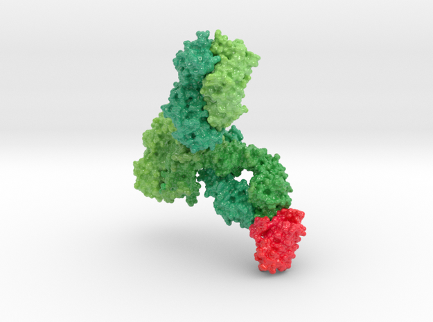 Monoclonal IgG4 Antibody bound to PD-1 5dk3 5ggr in Glossy Full Color Sandstone: Medium