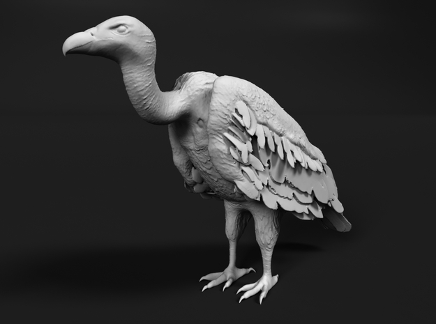 White-Backed Vulture 1:25 Standing 3 in Tan Fine Detail Plastic
