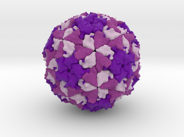 Theiler's Encephalomyelitis Virus  in Full Color Sandstone