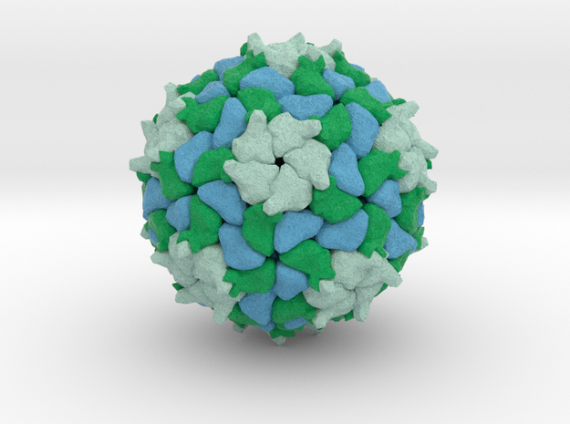 Triatoma Virus in Full Color Sandstone