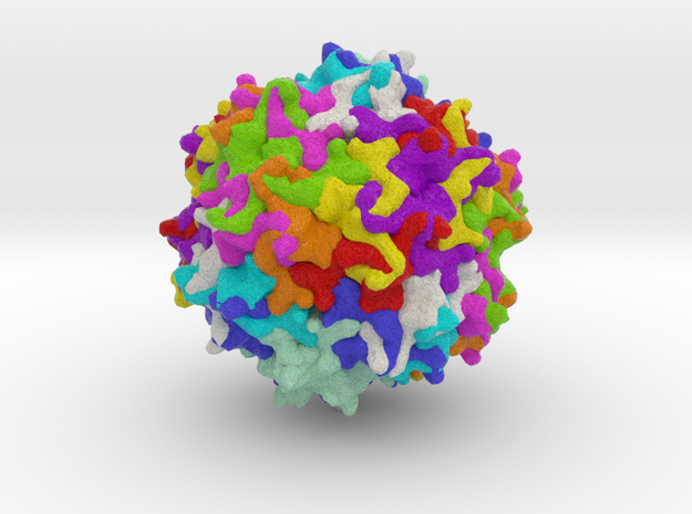 Adeno-Associated Virus 1 in Full Color Sandstone