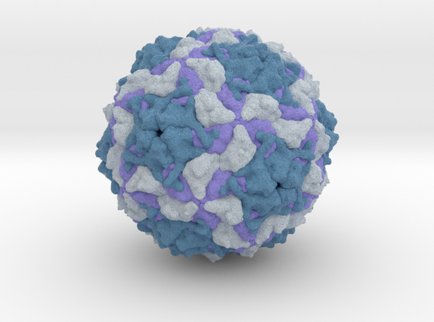 Aichivirus in Full Color Sandstone