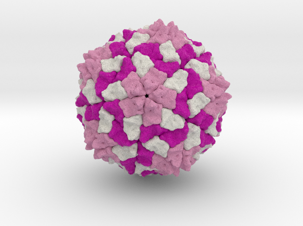 Southern Bean Mosaic Virus in Full Color Sandstone