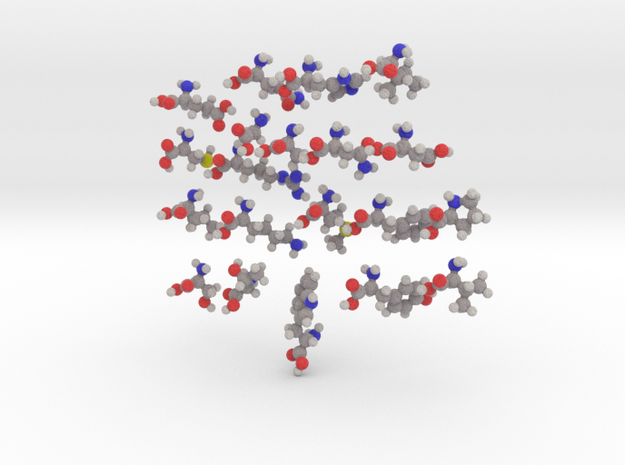 20 Natural Amino Acids (Set) in Full Color Sandstone