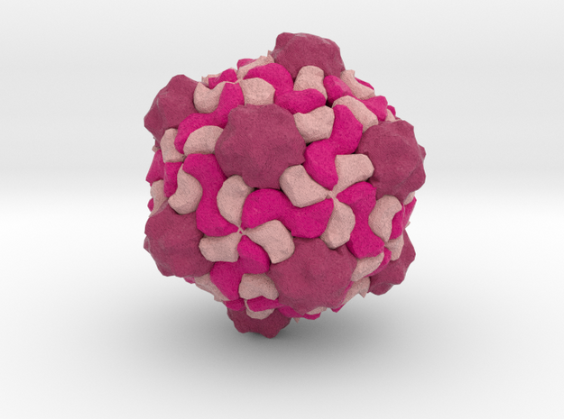 Red Clover Mottle Virus in Full Color Sandstone