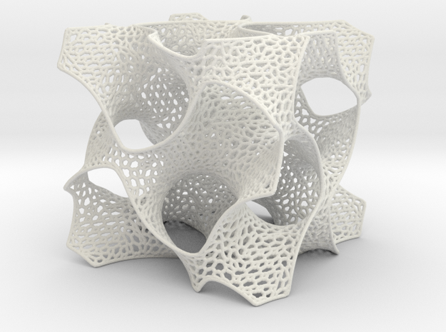 Schoen's Gyroid with Organic Mesh in White Natural Versatile Plastic