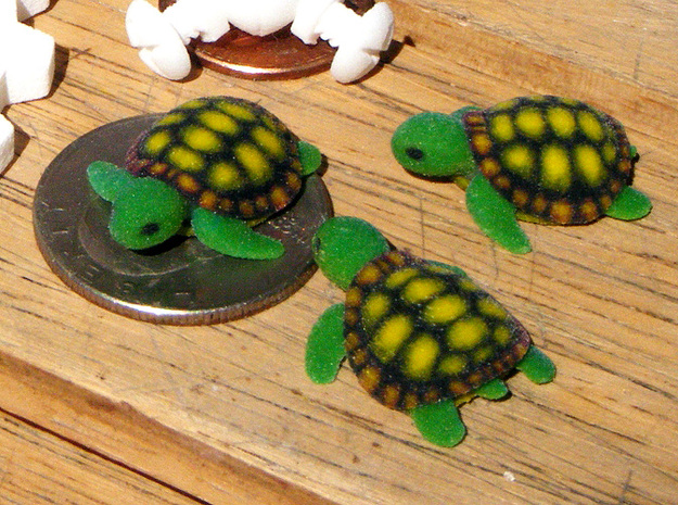 Little Turtle (3 pieces bundle)