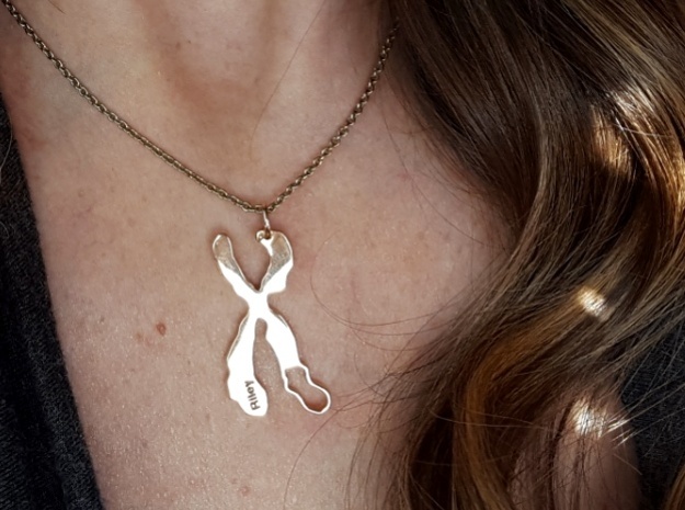 Chromosome Deletion Pendant in Polished Bronzed Silver Steel