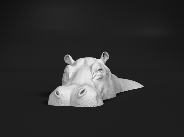 Hippopotamus 1:120 Lying in Water 1 in Tan Fine Detail Plastic