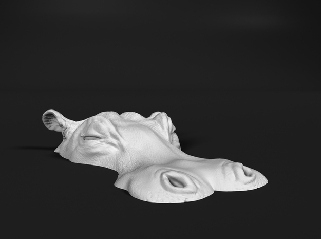Hippopotamus 1:35 Lying in Water 5 in White Natural Versatile Plastic