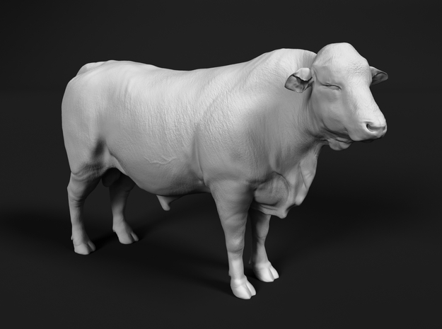 Brangus 1:16 Standing Bull 1 in White Natural Versatile Plastic