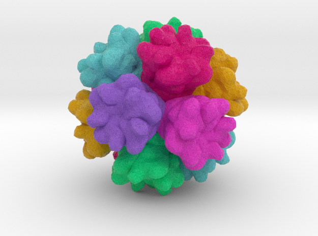 Adenovirus Serotype 3 in Full Color Sandstone