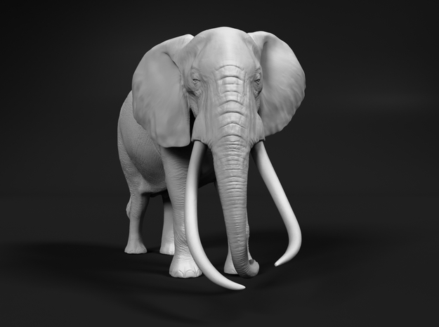 African Bush Elephant 1:16 Tusker Bull Satao in White Natural Versatile Plastic