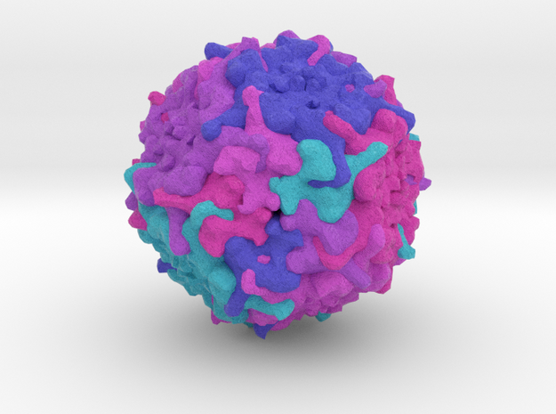  Human Bocavirus 1 in Full Color Sandstone