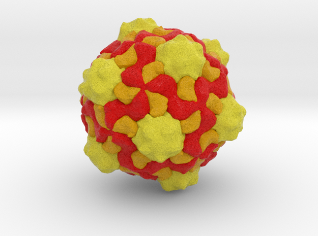 Cowpea Mosaic Virus in Full Color Sandstone