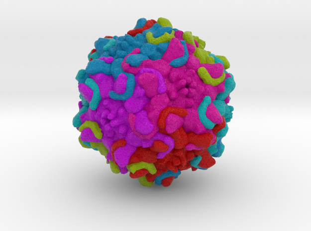 Protoparvovirus in Full Color Sandstone