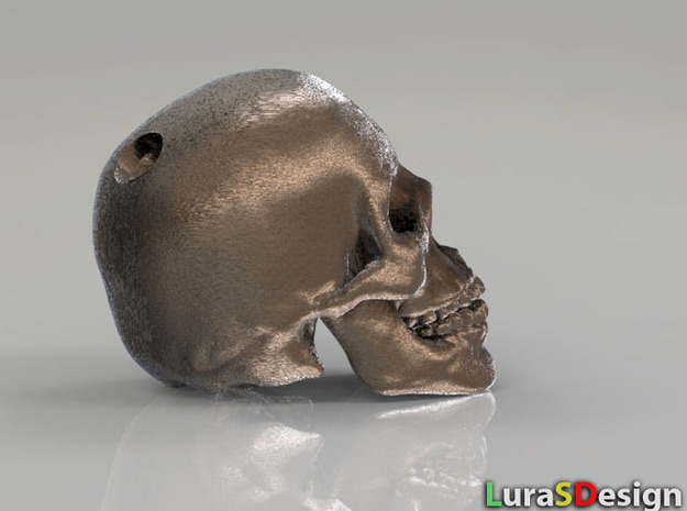 Human Skull - medium