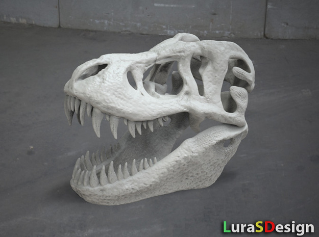 Tyrannosaurus Dinosaur Skull - T-Rex