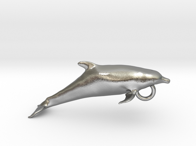 dolphin-hollow in Natural Silver: Small