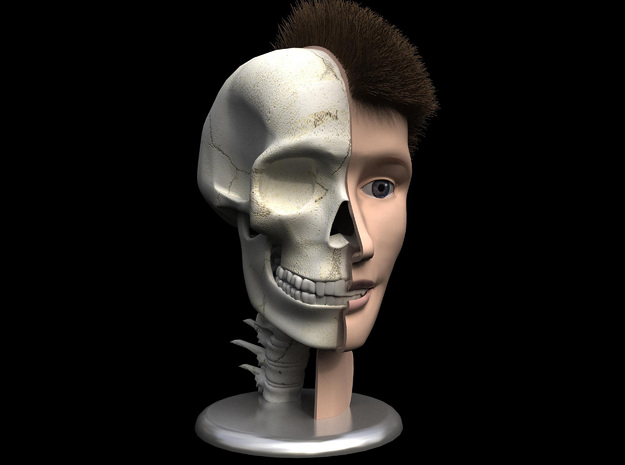 Human Skull Head - 4" tall in White Natural Versatile Plastic