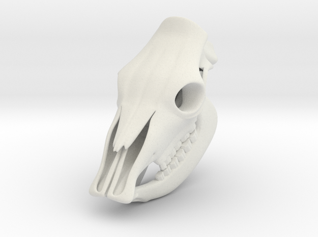 Cow Skull 3D Printed Model in White Natural Versatile Plastic
