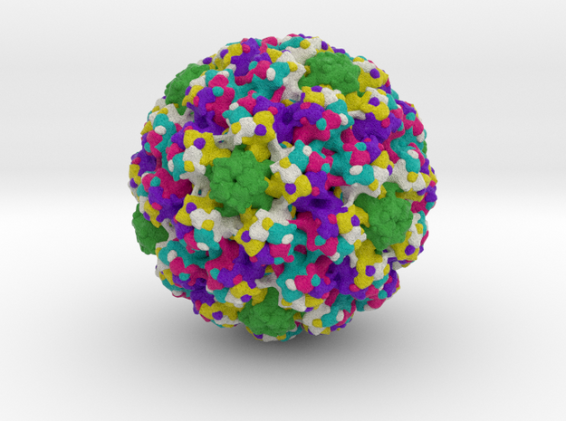 Bovine Papillomavirus in Full Color Sandstone