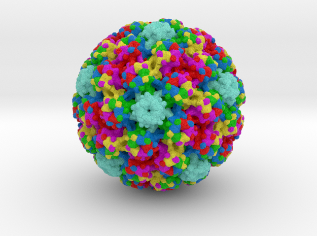Human Papillomavirus (HPV) in Full Color Sandstone