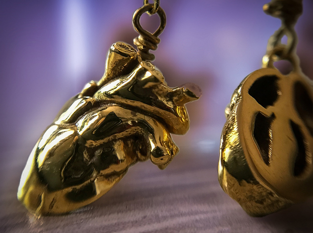 "Elizabeth Earrings" Anatomically-Accurate Heart E in 14k Gold Plated Brass