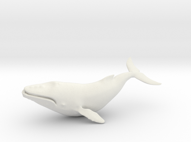 25cm blue whale in White Natural Versatile Plastic: Extra Large