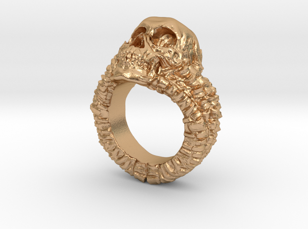 Skull Ring in Natural Bronze: 6.5 / 52.75