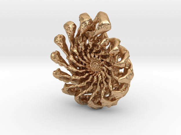 Wild Ammonite in Natural Bronze