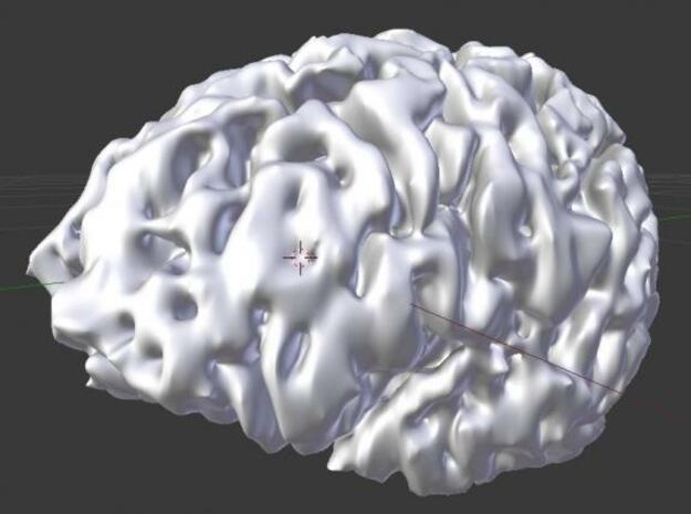 Brain MRI in White Natural Versatile Plastic