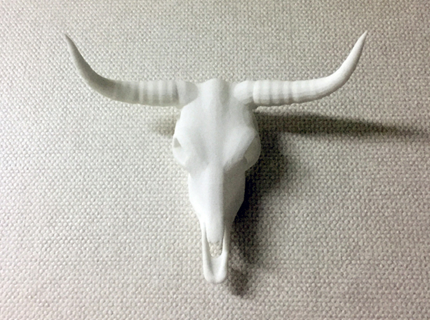 White Longhorn Skull in White Natural Versatile Plastic