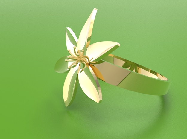 Lily  in Polished Brass: 8 / 56.75