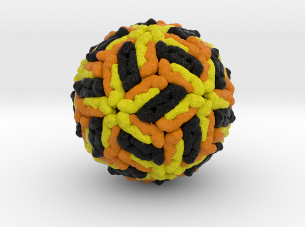 Dengue Virus in Natural Full Color Sandstone