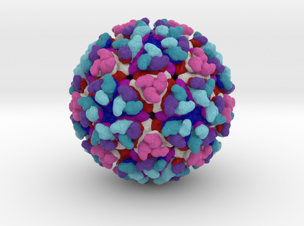 Chikungunya Virus in Natural Full Color Sandstone