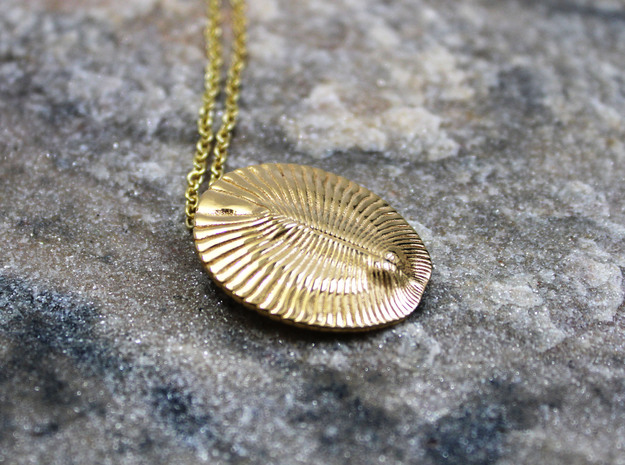 Dickinsonia Fossil Pendant - Paleontology Jewelry in 14k Gold Plated Brass