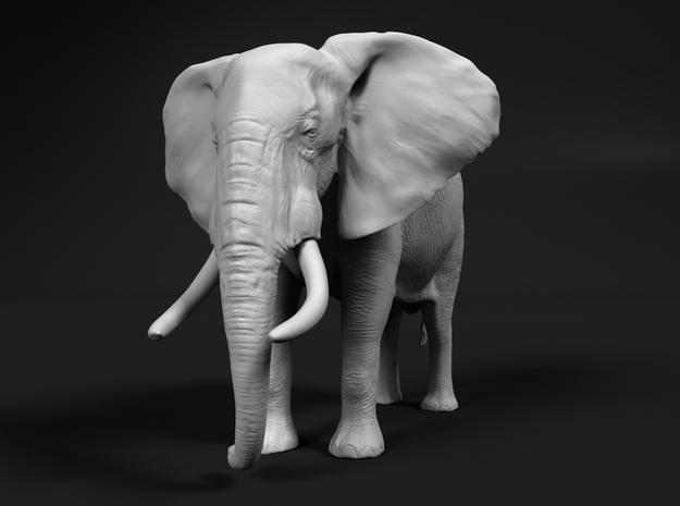 African Bush Elephant 1:28 Standing Male in White Natural Versatile Plastic