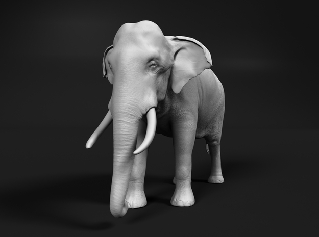 Indian Elephant 1:16 Standing Male in White Natural Versatile Plastic