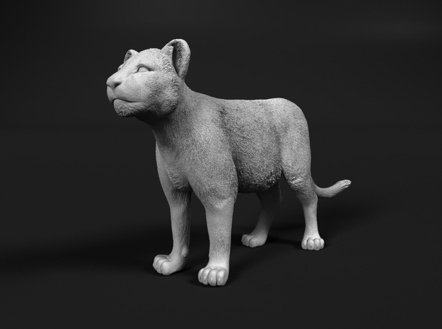 Lion 1:64 Standing Cub in Tan Fine Detail Plastic