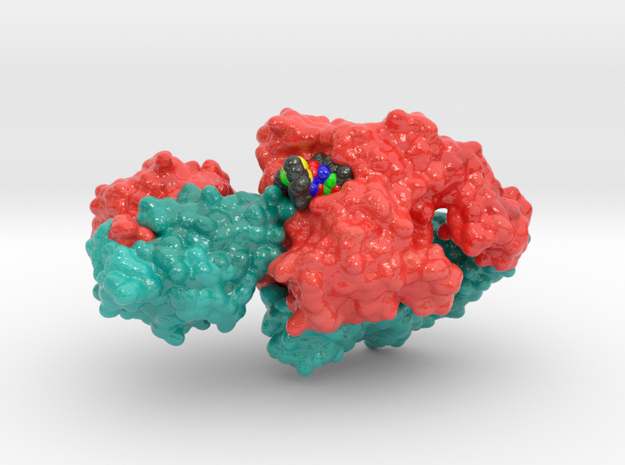 Topoisomerase II DNA Complex 4GFH in Glossy Full Color Sandstone: Small
