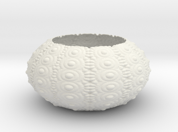 Sea Urchin Bowl in White Natural Versatile Plastic
