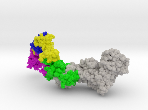 HCMV Pentamer Complex in Natural Full Color Sandstone: Extra Small
