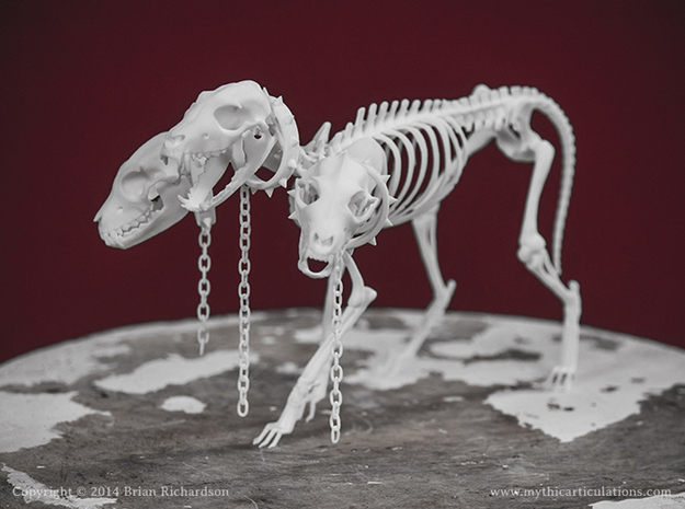 Cerberus Skeleton