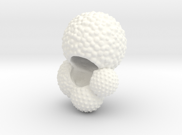 Globigerina Foraminiferan Model 4cm  in White Processed Versatile Plastic