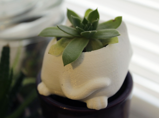 Sleepy Cat Succulent Holder in White Natural Versatile Plastic